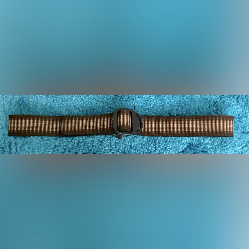 Men’s Canvas Belt from Bison Designs